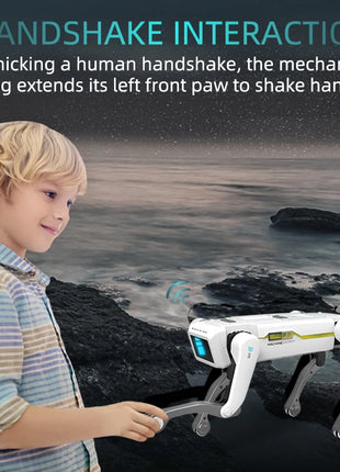 S23b4df3075fc4914bc678674c085f014E