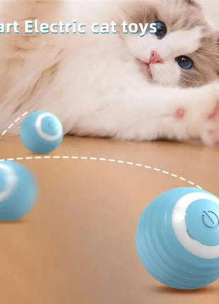 S49f373ab1af746a8b37c93d9bbd59dadZ