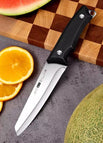 Fruit knife