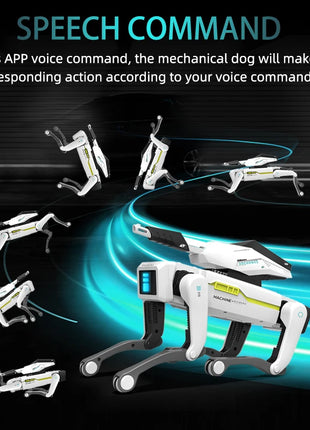 S6c1ca784ceef43c6a3e7c48c3d7ff0a2y