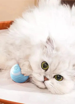 Sadc6c5fc468343a383086dcda1a4ddf6r