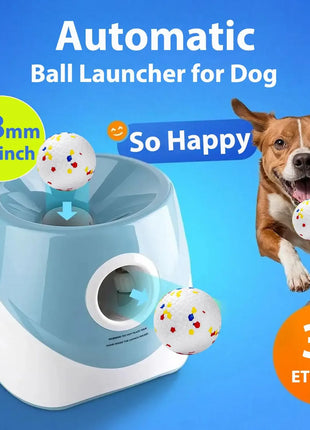 Scb5a4d69a1b34ca6a4c03d52e0a9582er